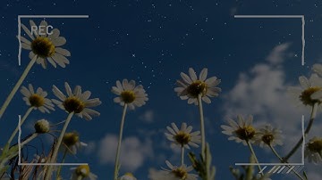 Sistem Deteksi Kebakaran dan Kebocoran Gas LPG Berbasis Esp32 dengan Pengiriman Notifikasi Multiuser