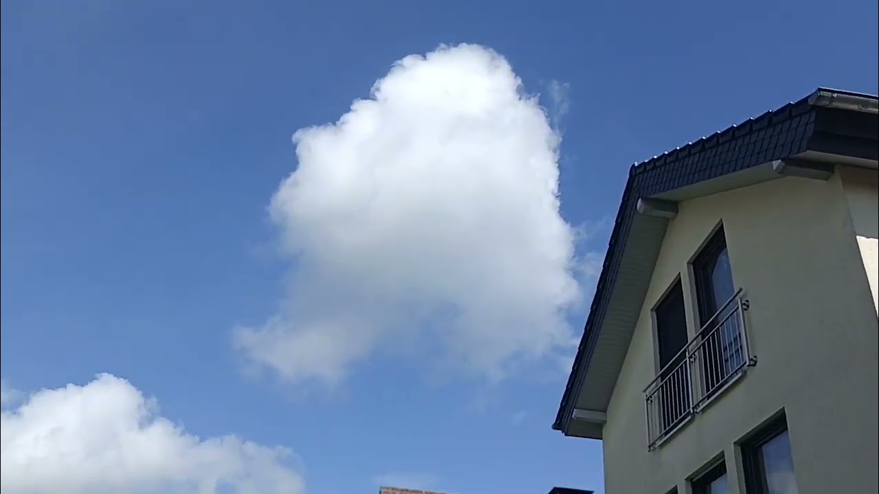 Der 1. Preisflug 2023 / First pigeon Race 2023