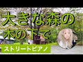 【心の中にある大切な思い出】森のピアノで奏でる/Time to Say Goodbye - Piano version/Jupitar/軽井沢ストリートピアノ