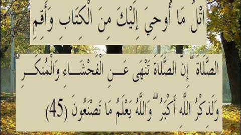 القران الكريم سورة العنكبوت الأية 45.wmv