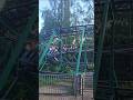 Alpen Express Wilde Attacke Geiselwind #themepark #neuheit #trending #attraction #2026 #new #fyp