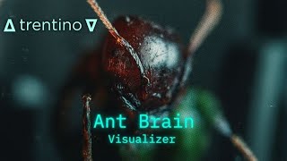 Trentino – Ant Brain (Official Visualizer) | FVYDID Records