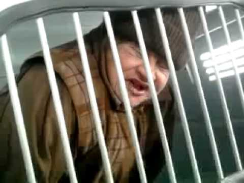 Смотреть видео выживание в необитаемым острове