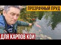 Рассказываю о строительстве прозрачного пруда для карпов кои.