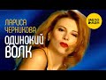 Лариса Черникова - Одинокий волк (Official Video) 1995