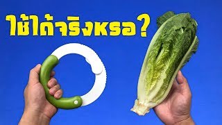 Kitchen Gadget For Vegetable Put To Test From AMERICA!!!