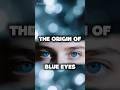The Origin of Blue Eyes 🧬