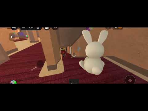 Play MM2 for the FIRST TIME