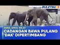GAJAH ASIA | Cadangan Bawa Pulang 'Dara, Amoi, Kelat' Dipertimbang Serius (BU)