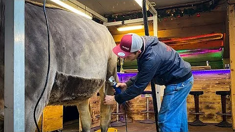 Jongleur Jana beim Kuhfitter Tobias Guggemos #cowf...