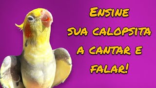 ✨15 minutos de assobios, cantos e frases para ensinar sua calopsita! by Vanessa's Cockatiels 2,681 views 9 months ago 15 minutes