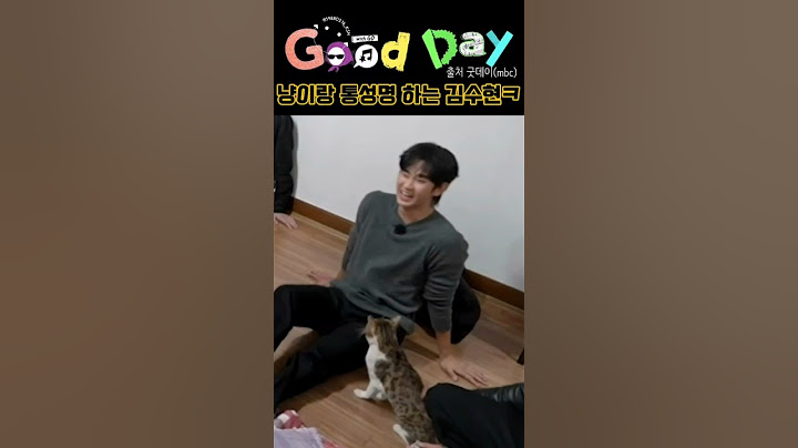 냥이랑 통성명하는 김수현ㅋㅋㅋ #김수현 #굿데이