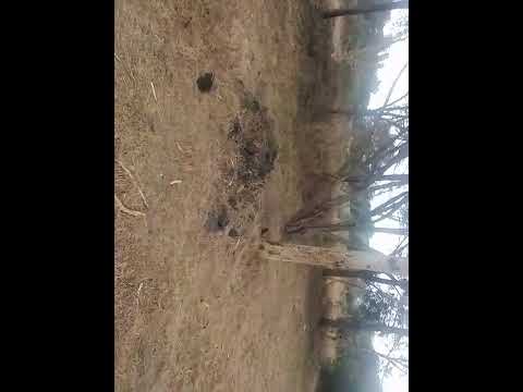 A Walk Around Machakos DICECE MercyNguku The World Traveller Ourafricanvillagehomekatutu