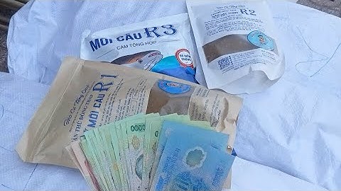 Cách trộn cám câu cá tra sông #camr1 #camr2 #camr3 #catrasong #caucatra #caucatrasong #câucá #câucá