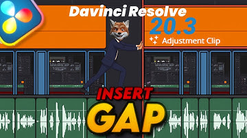 New with version 20.3: The Insert Gap