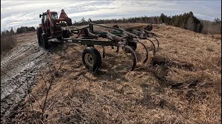 Pulling forgotten farm equipment out from the weeds!!