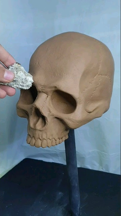 Download lagu sculpting human skull 💀 wait for mold making. #art #sculpture #skull #skullart #mask