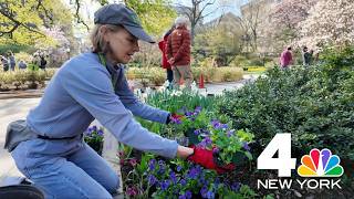 Tour Central Park's best-kept secret with a master gardener | NYC POV