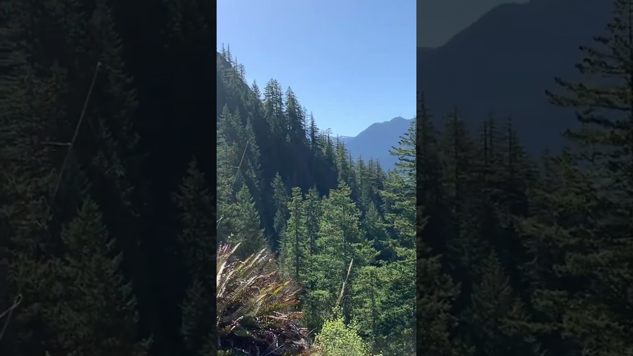 "Summit Success! Climbing Mt. Storm King Alone!"