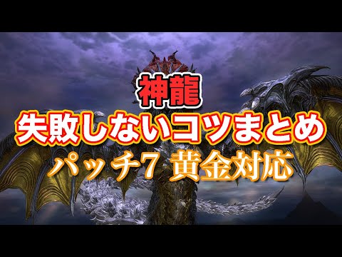 [FF14 Golden] Tips for Avoiding Shenron Failure [Quick Review and Preparation! Defeat Roulette Pa...