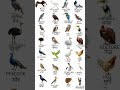 pakshiyon ke naam | a to z birds name | 30 birds name in hindi and english | #ytshorts