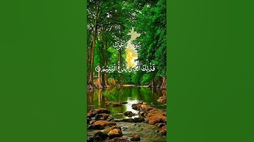 سورة الماعون❤️ #القرآن_الكريم #اكسبلور #المصحف
