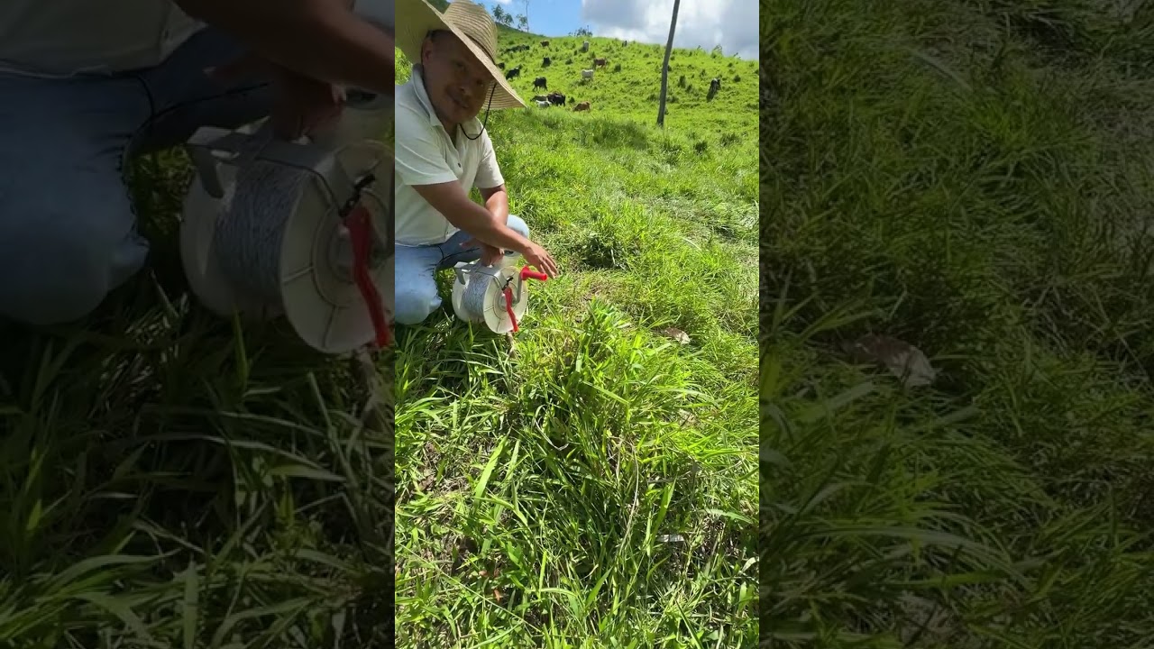 Manejo de Cerca Eléctrica Movil En Ganaderia 