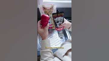 How to Use a Kong Dog Toy