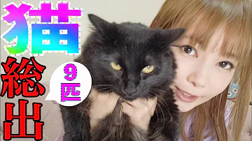 تحميل マミタス 死亡 تحميل マミタス 死亡