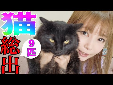 初公開！中川家の猫9匹総出で「チャオちゅ〜る選手権」やってみた！