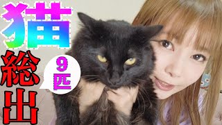 初公開！中川家の猫9匹総出で「チャオちゅ〜る選手権」やってみた！