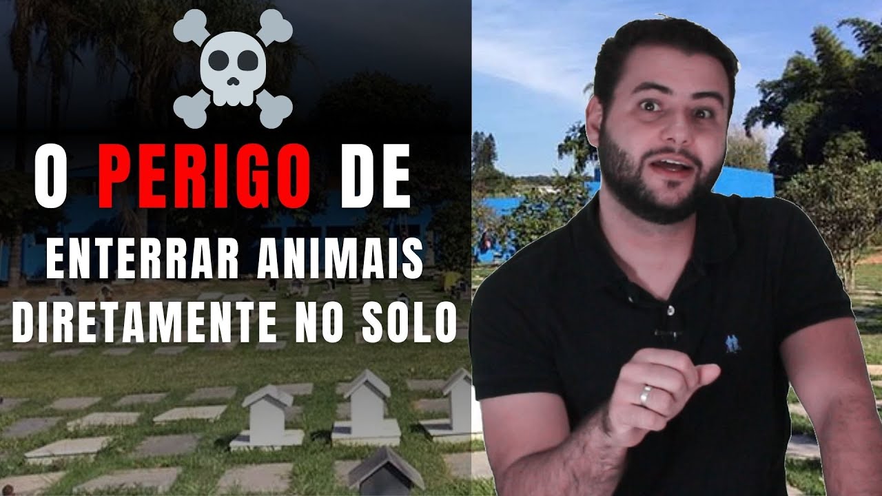 NECROCHORUME: CORPOS DE ANIMAIS APÓS O ÓBITO PODEM SER TÓXICOS