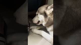 “Sharing is caring”