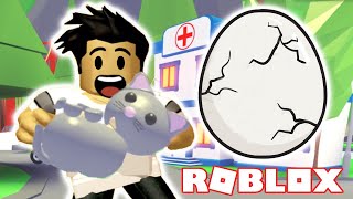 I found my egg and it hatched got a pet cat !! - adopt me roblox