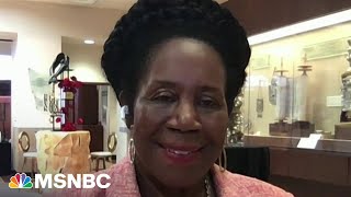 Celebrity Rep. Sheila Jackson Lee: Juneteenth is America's holiday, about freedom, not just for Black people Net Worth