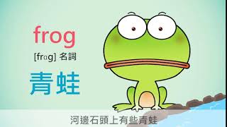 英文單字動畫－青蛙frog