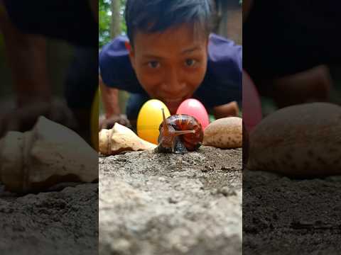 Anak-anaknya kabur, bapaknya malah mau cium bekicot 🤣 - #funnyvideo #snail #bekicot