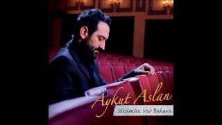 Aykut Aslan - Sevmez misin Resimi