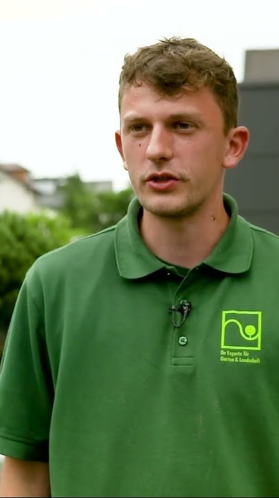 stellenanzeigen als quereinsteiger