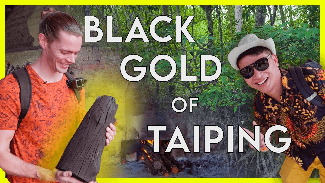 #10: Making Charcoal The Old-School Way! Off The Beaten Path in Taiping, Malaysia (2020)