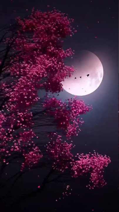 Good Night Status #status #wishes #sleepmeditation #goodnight #sweetdreams #beautifulnature ##moon