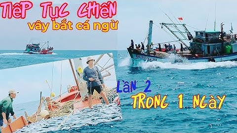 Bao vây bầy cá ngừ lần 2 trong ngày. Cuộc sống biển# Hưa Đông# sóng biển