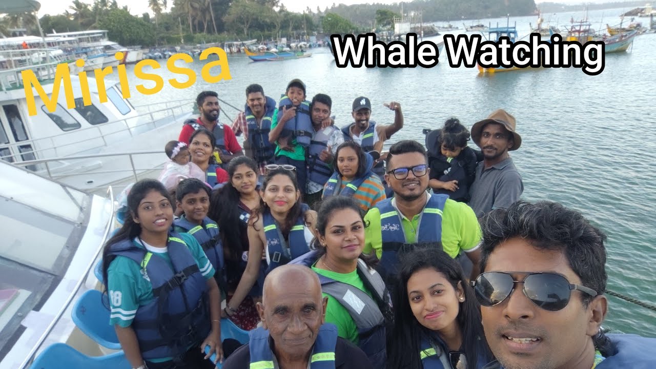 Mirissa whale Watching