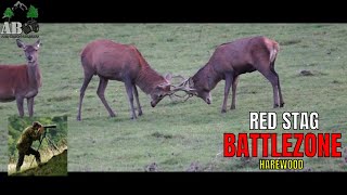 Red Stag Battlezone (Harewood)