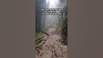 Bắc Bộ, Bắc Trung Bộ đề phòng lũ quét, sạt lở đất | VTVWDB