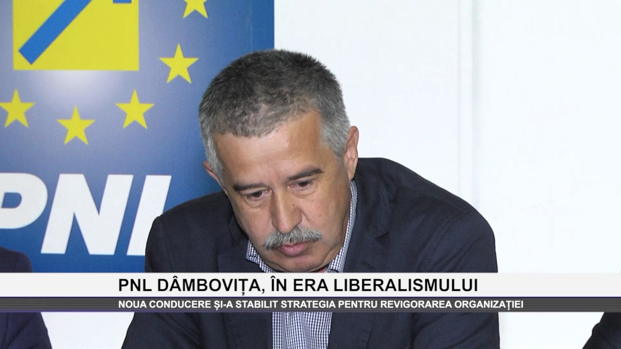 PNL DÂMBOVIȚA, ÎN ERA LIBERALISMULUI - www.columnatv.ro camera iphone 8 plus apk