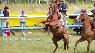 Jineteadas basto Oriental completas día Domingo Ruedo &quot;El Gitano&quot;