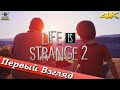 Life Is Strange 2 - ПЕРВЫЙ ВЗГЛЯД ОТ EGD