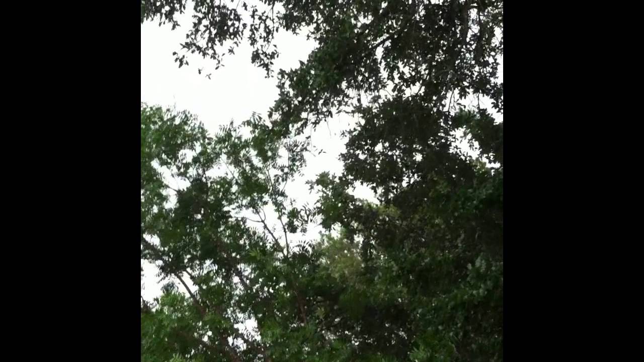 video phone beyonce mp3 Nearly struck by lightning.