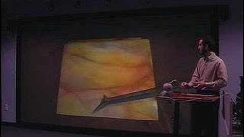 Tufts University Center for Scientific Visualization